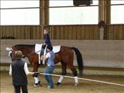 voltitag 2009 _CD1 067